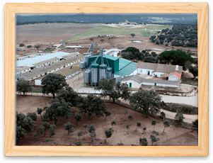 Finca El Barrero